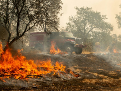 Homem causa incêndio florestal em evento para revelar sexo de bebê