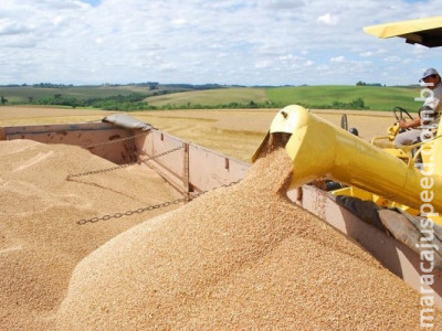Valor da Produção Agropecuária é de R$ 578,2 bilhões