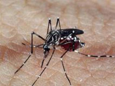 Estudo indica que zika pode provocar infertilidade em homens