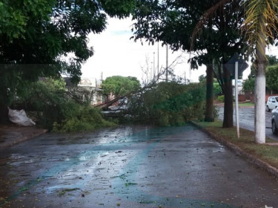 Maracaju: Tempestade no domingo causa estragos na cidade