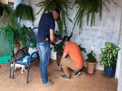 Neto matou avó com duas facadas nas costas