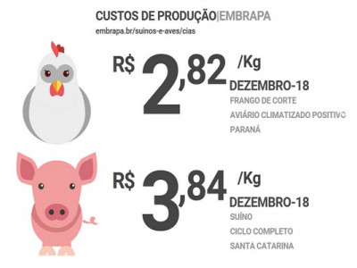 Cenário preocupante para criadores de frango