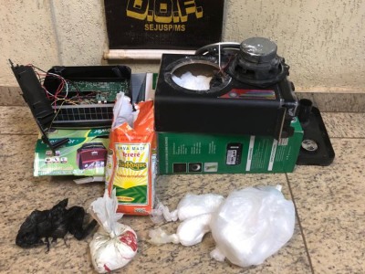 DOF prende casal transportando droga em ônibus