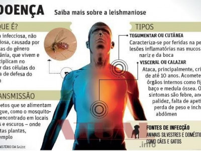 Em MS, 6 casos de leishmaniose foram confirmados só em janeiro