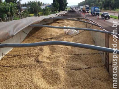 Maconha apreendida em carga de soja ultrapassou 1t