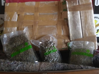DOF prende homem transportando droga em ônibus