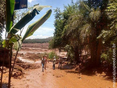 Plenário da Câmara debate tragédia de Brumadinho