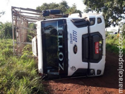 Caminhão que transportava frangos tomba próximo a MS-080