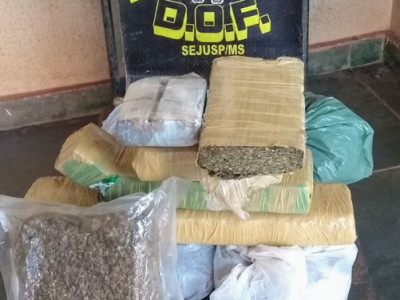 DOF apreende droga abandonada em rodovia