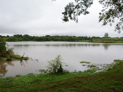 Em duas décadas, lagos do Amor e de parque podem desaparecer