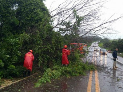 Forte temporal causa estragos e derruba árvores na BR 267