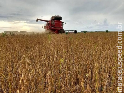 Mais de 90% das lavouras de soja já foram colhidas no Estado