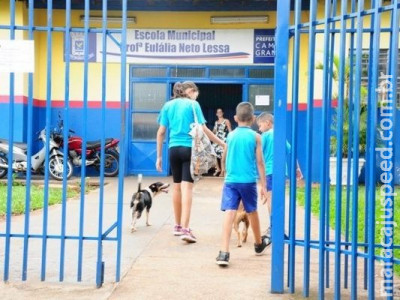 Escolas municipais vão avisar pais por WhatsApp se aluno faltar