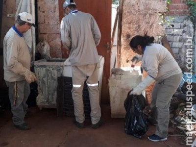 Em uma semana, mais três mortes por dengue são confirmadas em MS