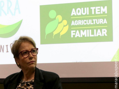 Ministério lança 15ª campanha em favor de alimentos orgânicos