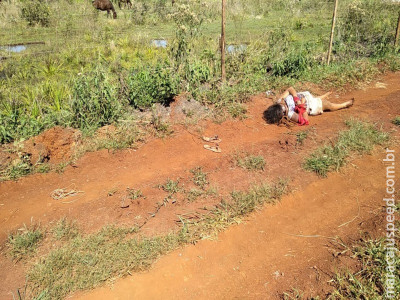 Mulher é encontrada morta com sinais de tortura