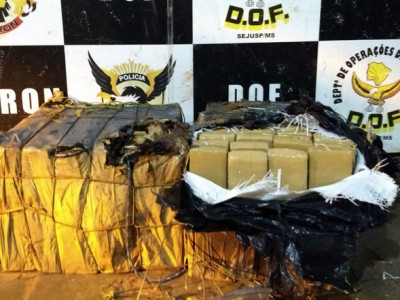 DOF apreende entorpecente abandonado às margens da estrada 