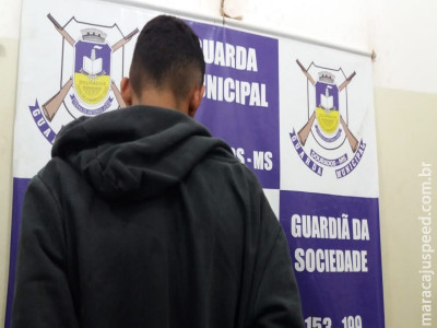 Maconha com destino a Campo Grande é apreendida pela GM