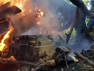 Paraguai impede envio de 193 toneladas de maconha ao Brasil