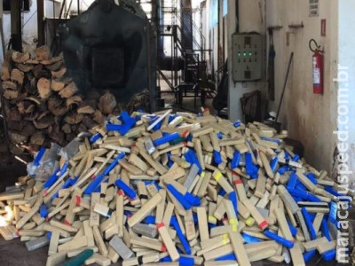 Polícia Civil incinera mais de 3 toneladas de drogas em MS 