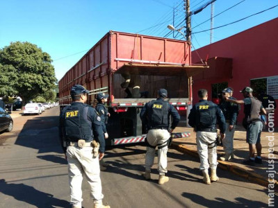 Homem é preso transportando droga em carreta carregada com soja