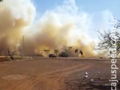 Incêndio de grandes proporções atinge área próxima a BR-463