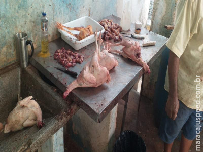 Polícia fecha abatedouro clandestino e prende dona no Lajeado