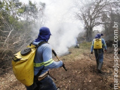 Focos de calor triplicam durante a tarde em Mato Grosso do Sul