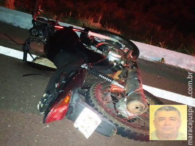 Motoqueiro morre após colisão com tamanduás