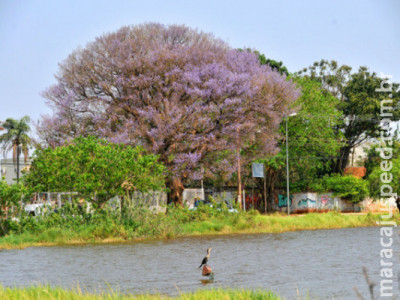 Chuva dá trégua e calorão volta na sexta-feira