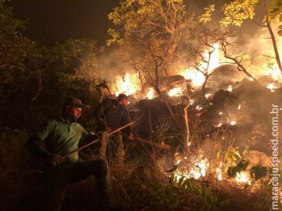 Incêndio florestal atinge parque com pinturas rupestres no Pará