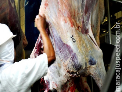 Precoce MS tem 1,6 milhão de animais abatidos desde 2017