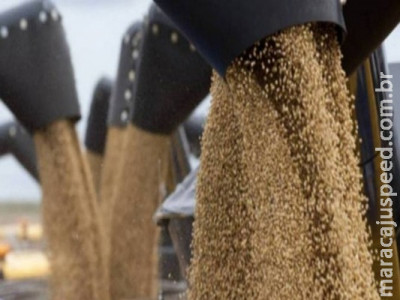 Conab: Produção de 246 milhões de toneladas garante o recorde da safra de grãos