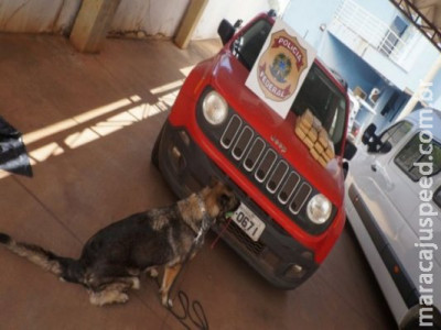 Desembargadora perde Jeep apreendido com filho por tráfico