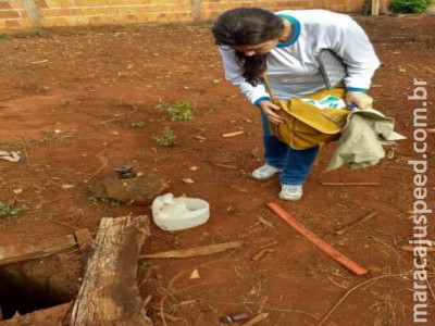 Dourados e Campo Grande lideram mortes pela dengue em MS