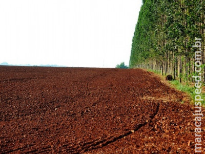 Estiagem põe agronegócio em alerta