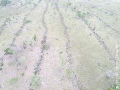 Homem é multado em R$ 23 mil por desmatamento