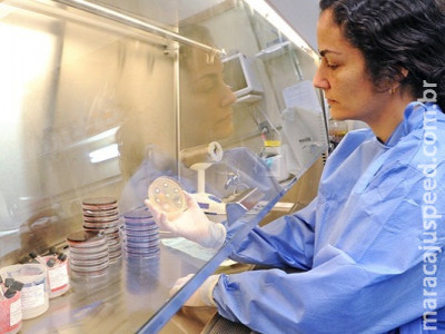 Pesquisadores alertam para uso excessivo de antibióticos