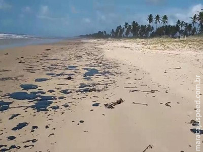 União pagará auxílio emergencial a pescadores afetados por óleo