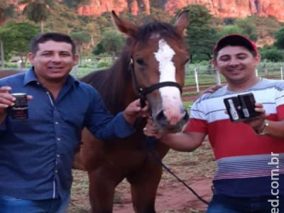 Irmãos são assassinados após discussão em corrida de cavalos