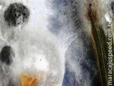 Anvisa inicia a reavaliação do carbendazim