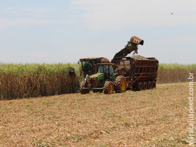 Cana-de-açúcar: moagem atinge 44 milhões de toneladas em MS