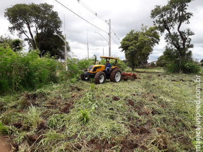 Dourados terá plantio histórico de árvores no dia 14