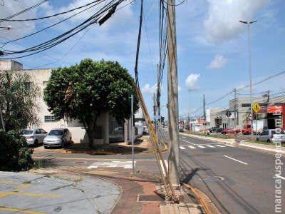 Motoristas obrigados a ressarcir danos ao patrimônio público