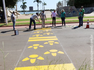 Para alertar motoristas, cidade de MS ganha ‘capifaixas’