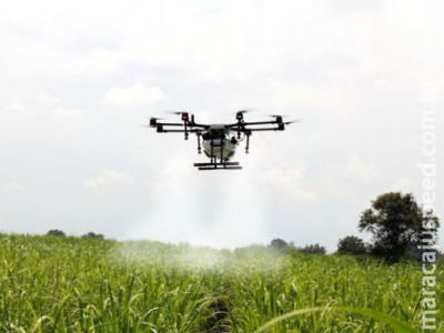 Uso de drones nas lavouras será regulamentado pelo Mapa