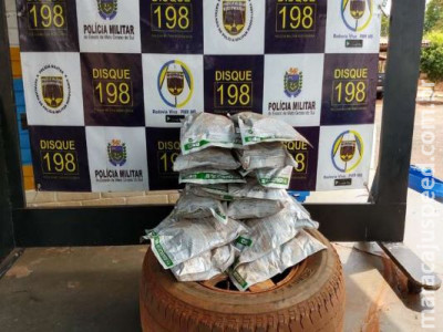Agrotóxico contrabandeado da China é apreendido na MS-156