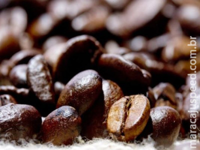 Preço mínimo do café é reajustado para safra 2020/2021