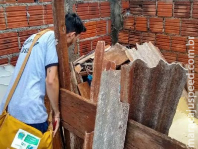 Dengue mata mais três pessoas no Estado em uma semana