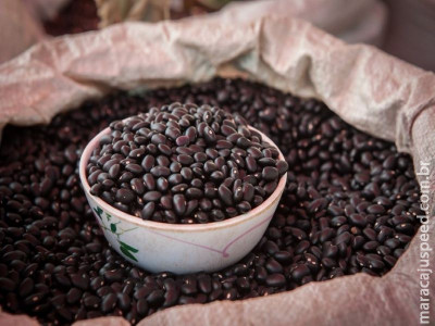 Publicado zoneamento agrícola de feijão primeira safra